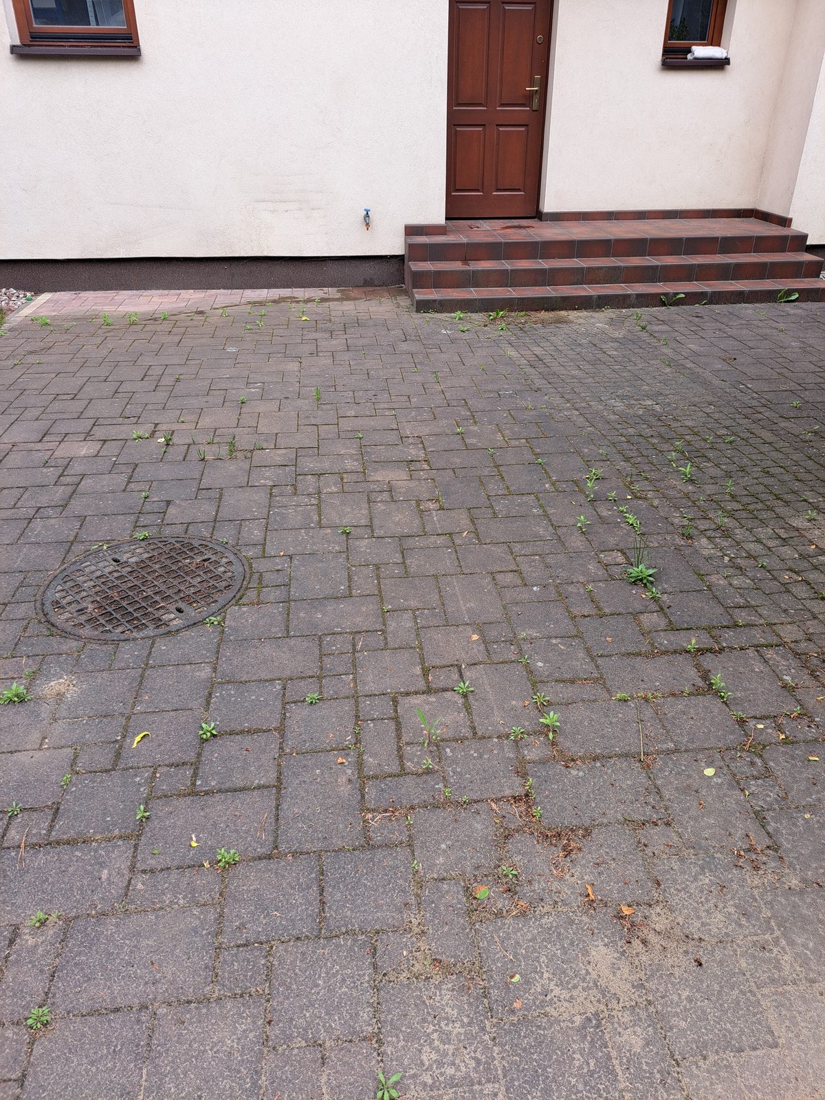 Kostka przed myciem — chwasty w spoinach