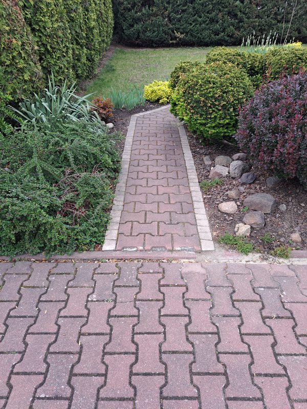 Ścieżka w głąb ogrodu — przed