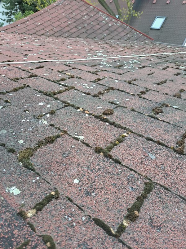 Dach przed — mech wrośnięty w spoiny