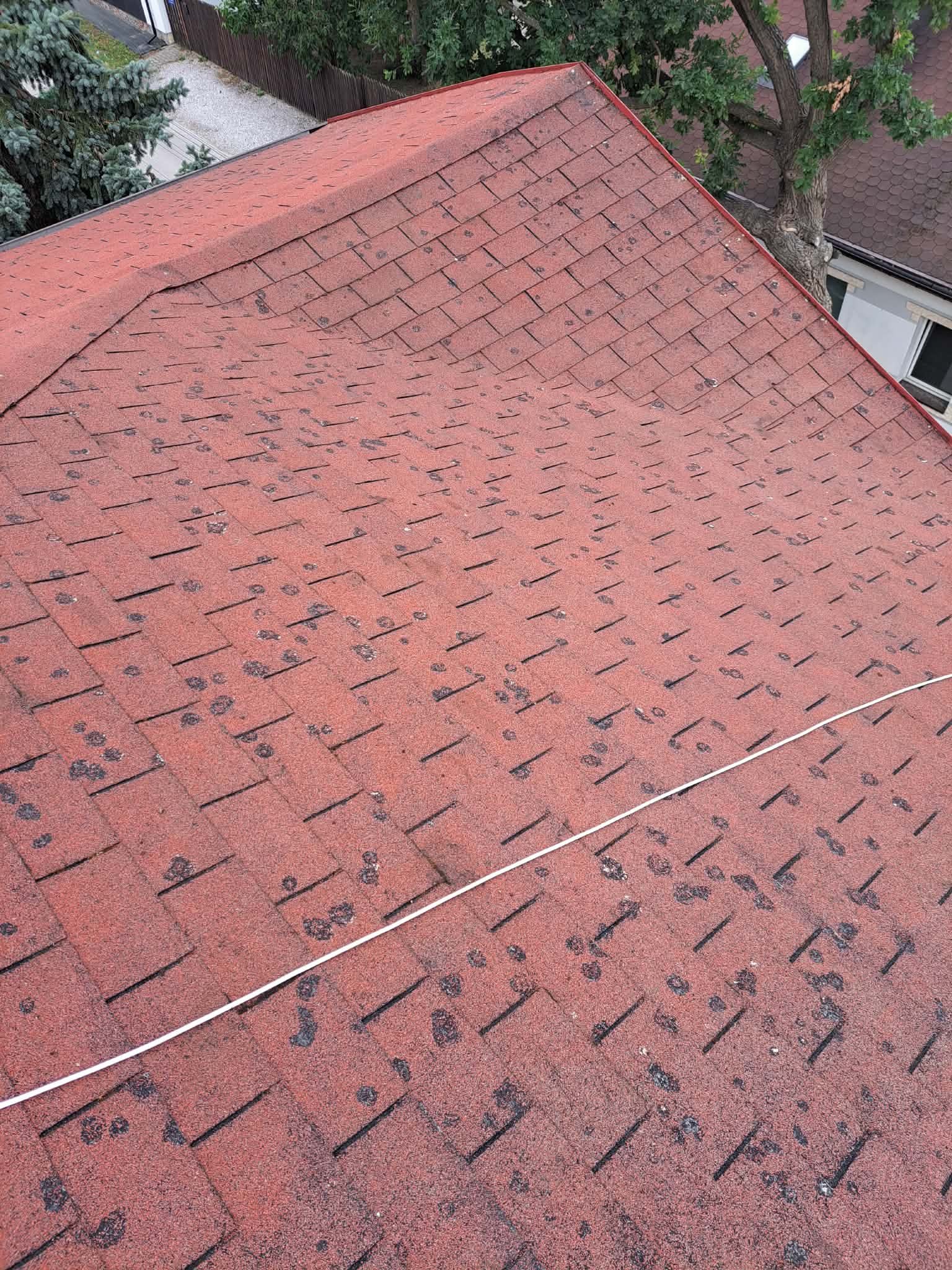 Dach z gontu bitumicznego przed — kolonie porostów